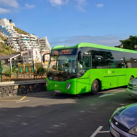 Tenerife-tabaiba Tabaiba